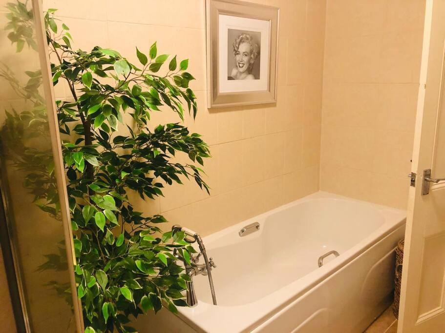 Ilkley Garden Suite Kültér fotó